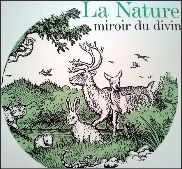 la nature miroir du divin