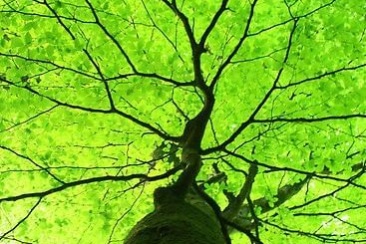 9cd615f103e5542fdaa8081f6c2e3fd4