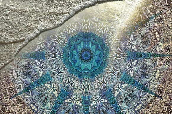 13015122_768519729950056_4242616241288622028_n