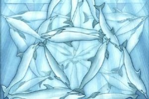 Dauphins pentagramme