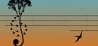 le_grand_orchestre_des_animaux