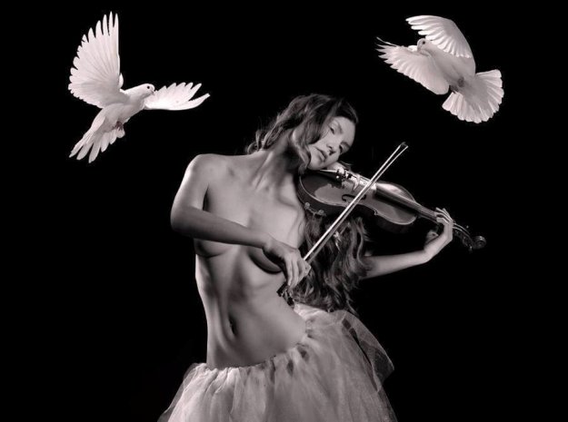 14717072_1086184778097329_1477675760758551038_n