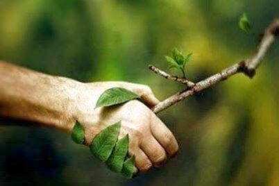 L’appel de la nature