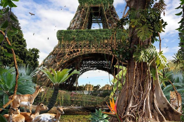 12346421_1651423518464366_2620196665200521172_n