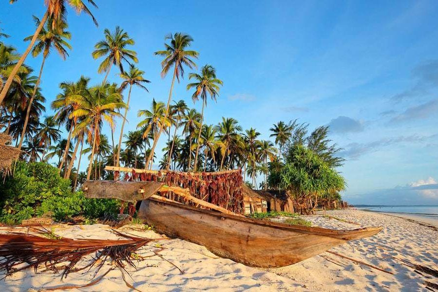 arbre-et-la-pirogue-histoire-dev-perso