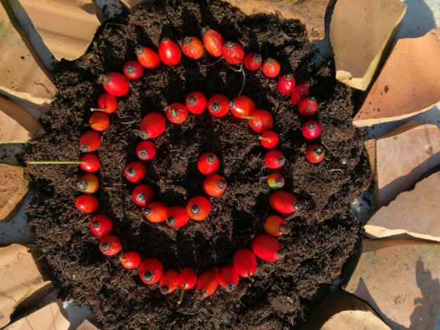 Spirale rouge et terre